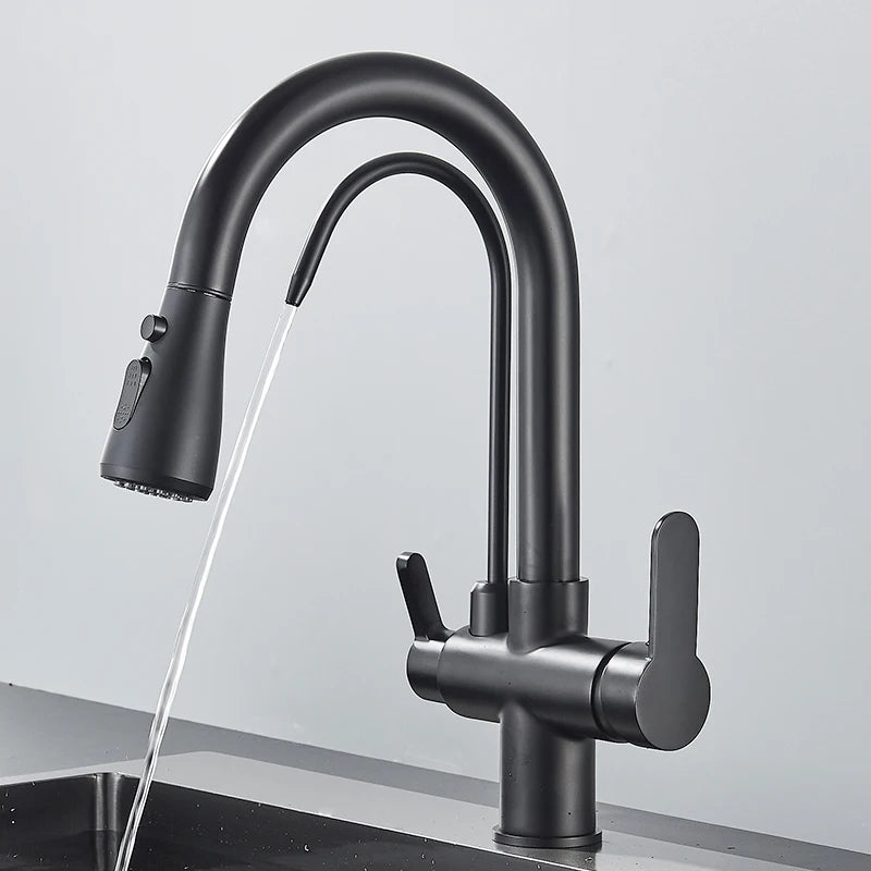 Black Filtered Crane For Kitchen Pull Out Spray 360 Rotation Water Filter Tap Three Ways Sink Mixer Kitchen Faucet