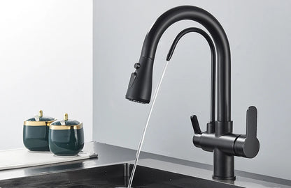 Black Filtered Crane For Kitchen Pull Out Spray 360 Rotation Water Filter Tap Three Ways Sink Mixer Kitchen Faucet