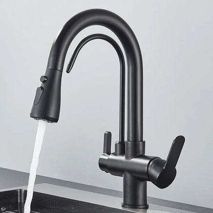 Black Filtered Crane For Kitchen Pull Out Spray 360 Rotation Water Filter Tap Three Ways Sink Mixer Kitchen Faucet